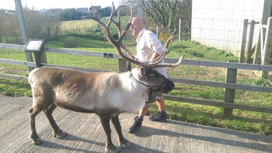 Feadon Farm Wildlife Centre- Cornwall Holiday Guide