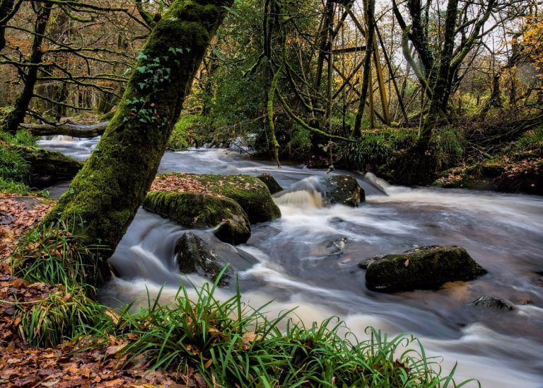 Golitha Falls- Cornwall Holiday Guide