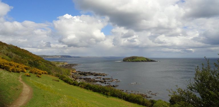 Looe Island - Cornwall Holiday Guide