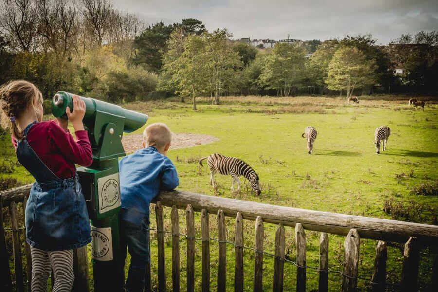 Newquay Zoo - Cornwall Holiday Guide