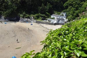 Readymoney Cove - Cornwall Holiday Guide