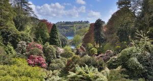 Trebah Garden - Cornwall Holiday Guide