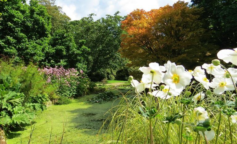 Trewidden Garden - Cornwall Holiday Guide